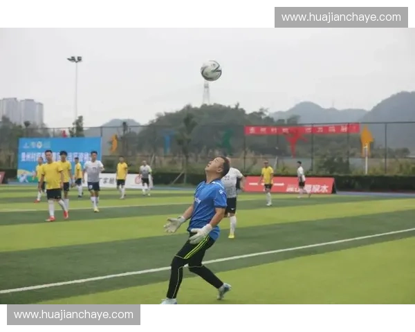 围绕七人制足球激战深度探讨团队战术解析比赛精彩瞬间呈现全景篇